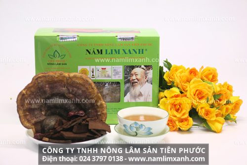 Sản phẩm nấm lim xanh chính hãng được bán tại đại lý ở Cà Mau của Công ty TNHH Nông lâm sản Tiên Phước
