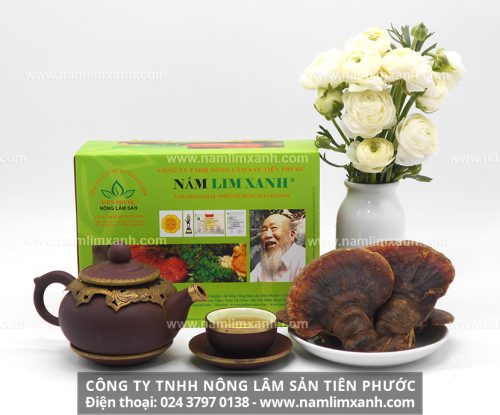 Sản phẩm nấm lim xanh của Công ty TNHH Nông lâm sản Tiên Phước được rất nhiều khách hàng tin tưởng và sử dụng