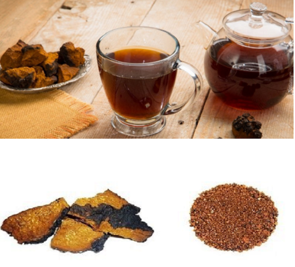 Cách dùng nấm chaga khô pha trà uống hàng ngày sẽ mang lại cho bạn làn da mịn màng, chắc khỏe.