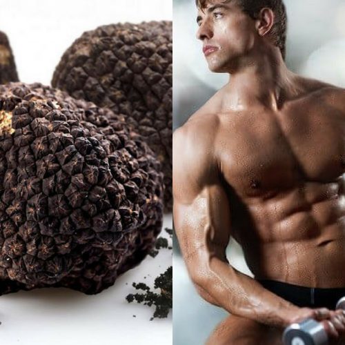 Nấm cục truffle cải thiện sinh lý đàn ông